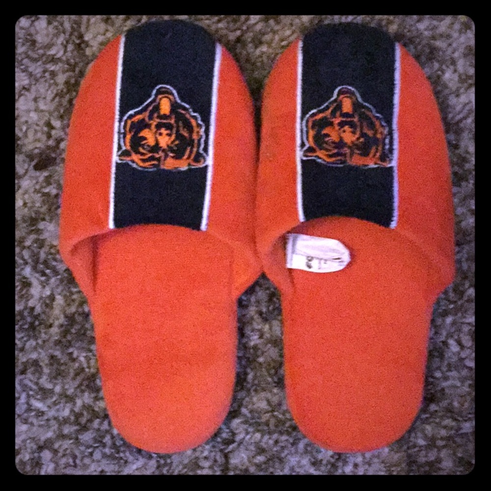 XL Bears Slippers
